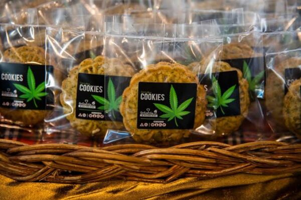 Hashish Delivery in Europe: The Truth About Mail-Order, Laws & Safety