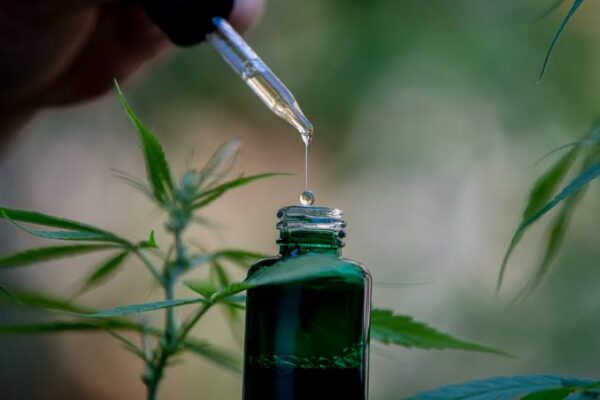 First Country to Legalize Weed in Europe: The Malta Milestone