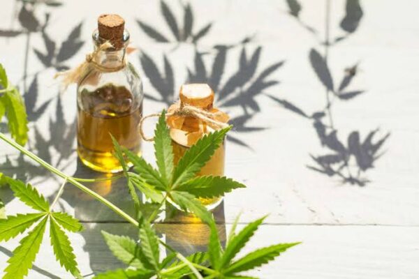 Legal Weed in Europe: What You Can Actually Buy and Where
